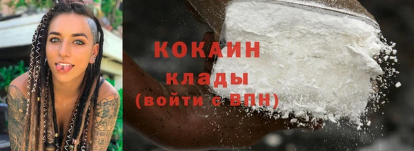 хмурый Гусев