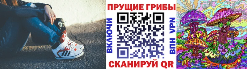 Галлюциногенные грибы Psilocybe Дербент